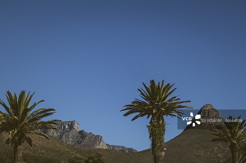 狮子头图片素材