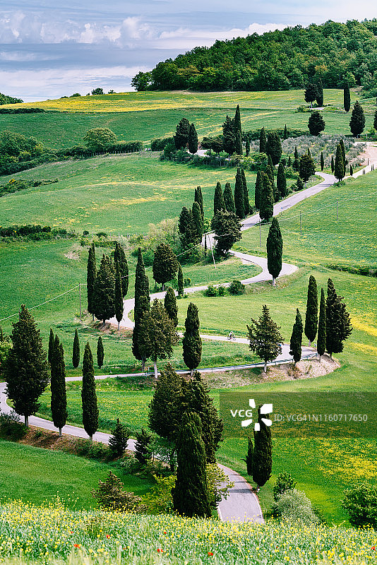 托斯卡纳的弯曲蛇形公路、绿色景观和柏树。蒙蒂基耶罗，意大利图片素材