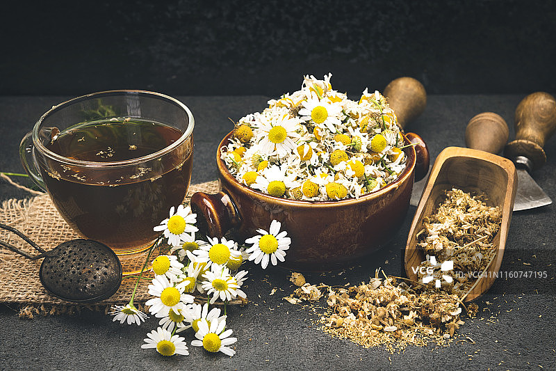 洋甘菊图片素材