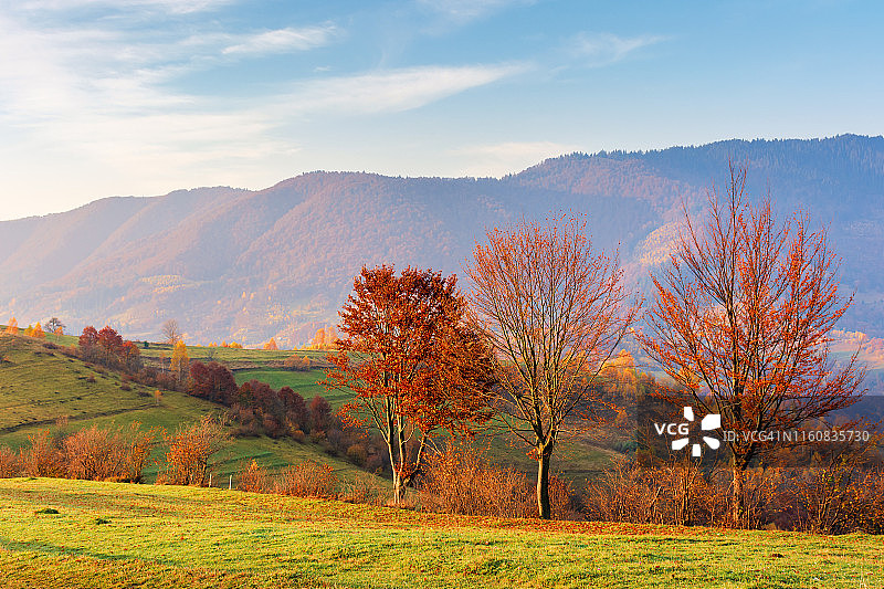 日出时分山中的乡村图片素材