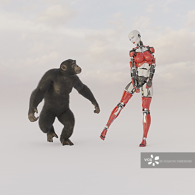 黑猩猩系列：与机器人相遇图片素材