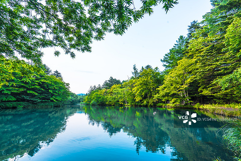 轻井泽的云场池图片素材