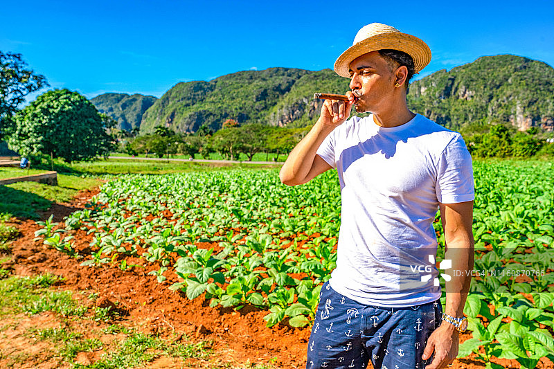 在古巴烟草农场吸雪茄的男人图片素材
