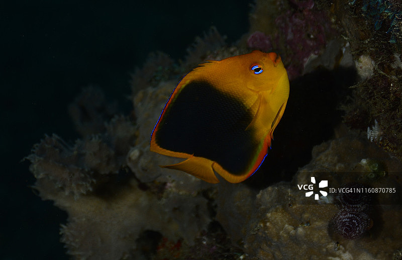 岩石之美图片素材