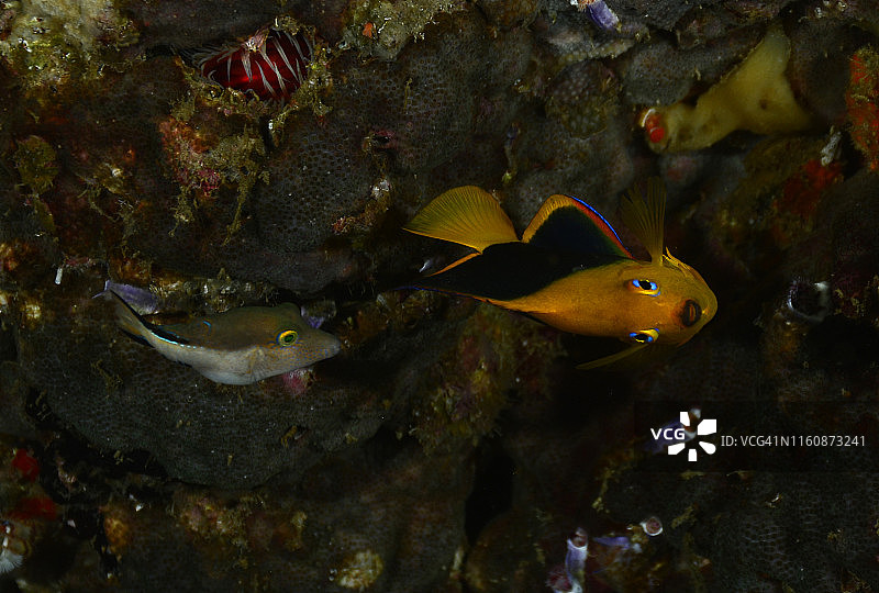 岩石之美图片素材