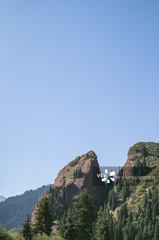 七公牛图片素材