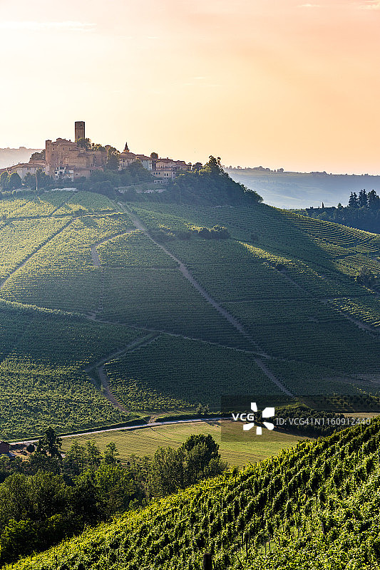 意大利皮埃蒙特朗格巴罗洛葡萄酒产区塞拉伦加达尔巴图片素材