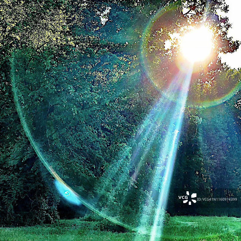 草地空地的太阳光晕图片素材