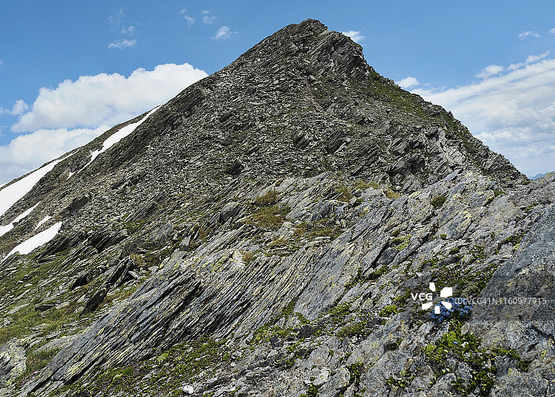 在 Alpe Piora 附近的 Pizzo Taneda 山上盛开的阿尔卑斯山勿忘我图片素材