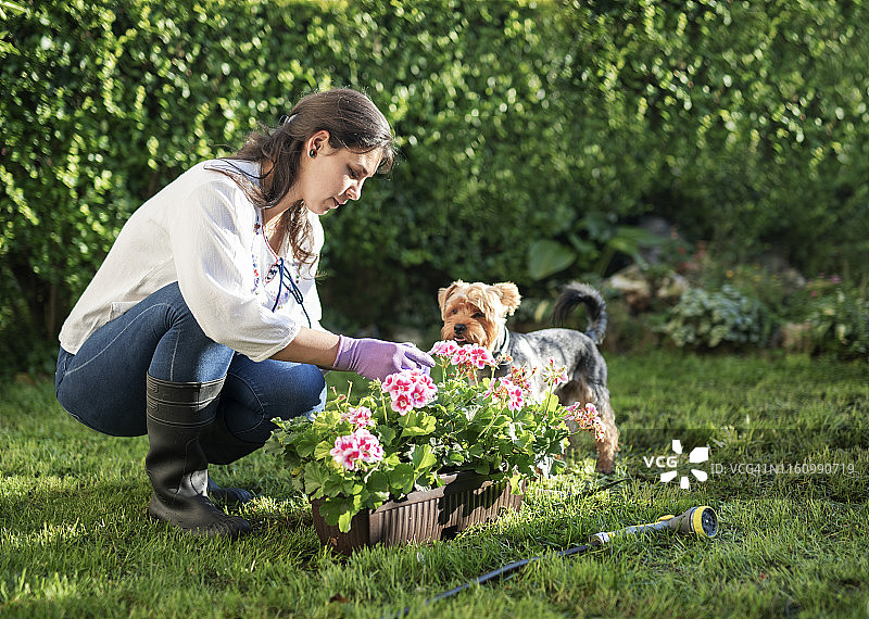 在花园里工作的园丁图片素材