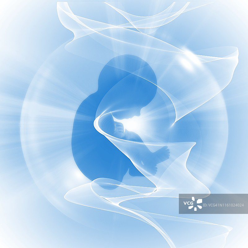 人类胎儿图图片素材