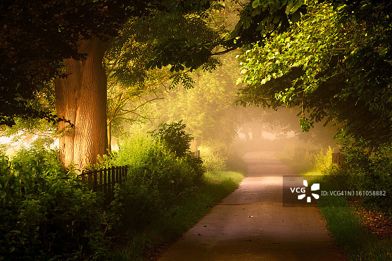 英国苏塞克斯郡黑麦的雾路图片素材