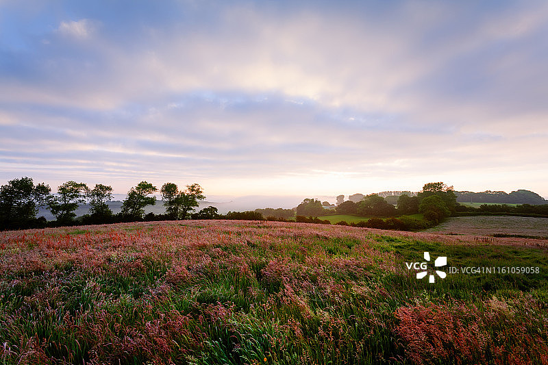 英格兰东萨塞克斯郡的田野图片素材