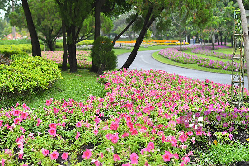 鲜花花园图片素材