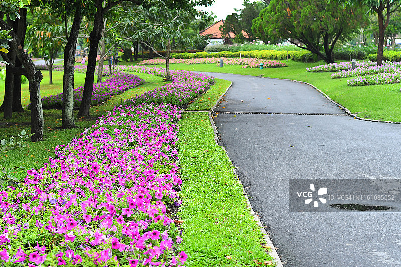 鲜花花园图片素材