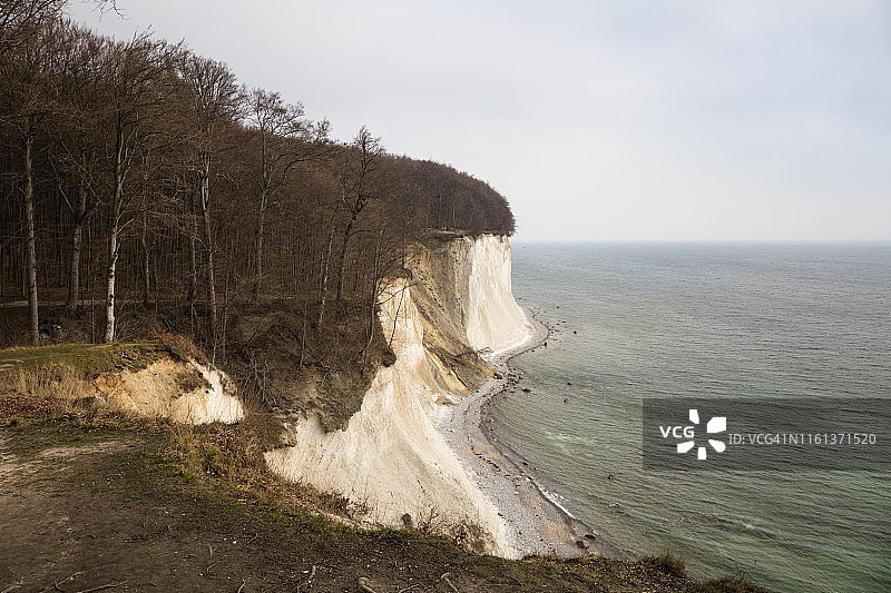 德国吕根岛亚斯蒙德国家公园的白垩悬崖图片素材
