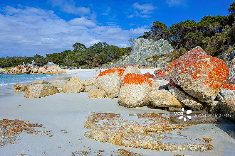 火焰湾，塔斯马尼亚，澳大利亚图片素材