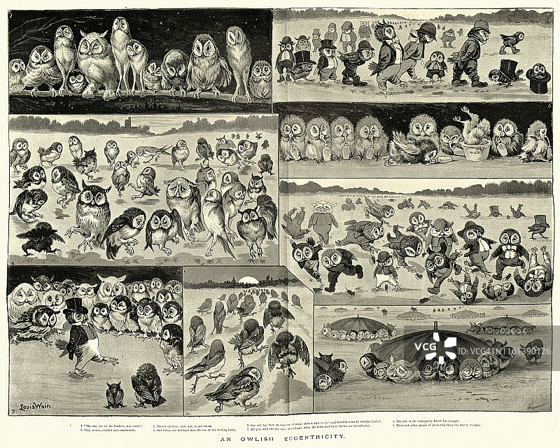 猫头鹰的古怪，猫头鹰的漫画草图图片素材