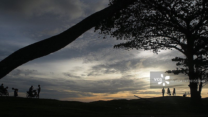 树木与日落之间图片素材