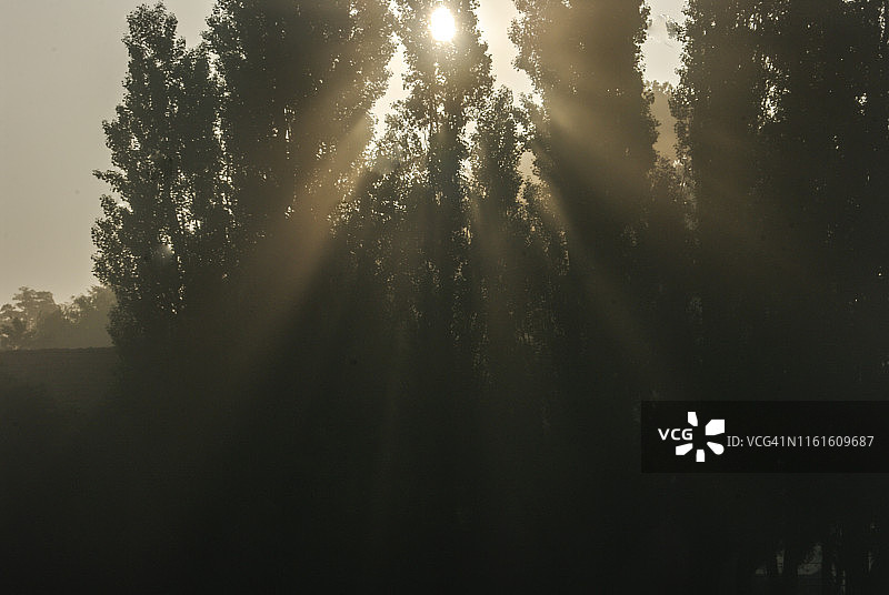 雾气中的场景图片素材