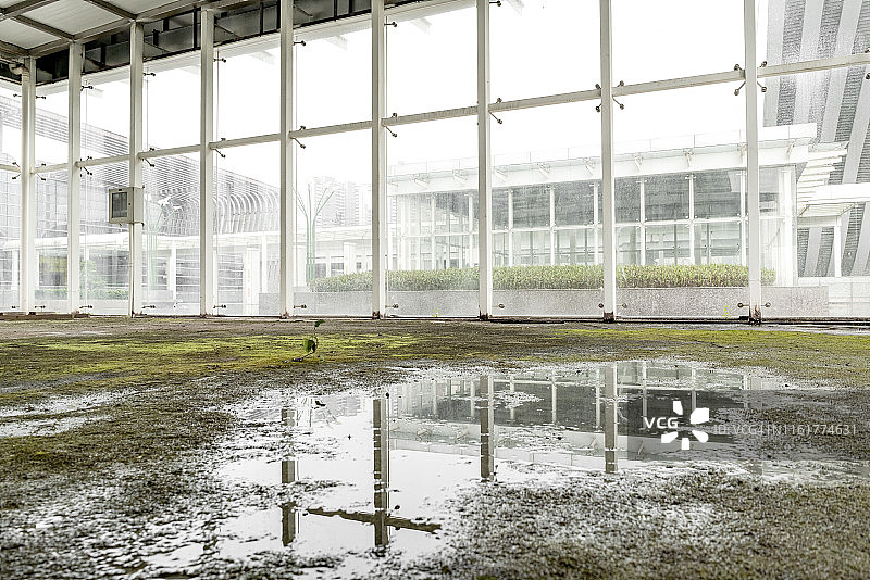 阳光房中的水苔地面图片素材