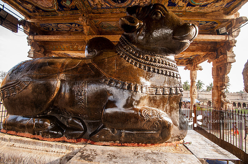 坦贾武尔寺庙的大南迪雕像，印度图片素材