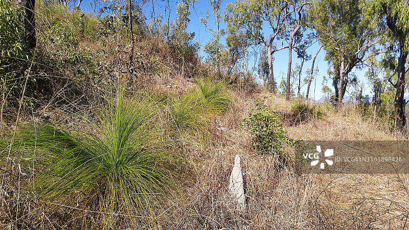 探寻黄金图片素材