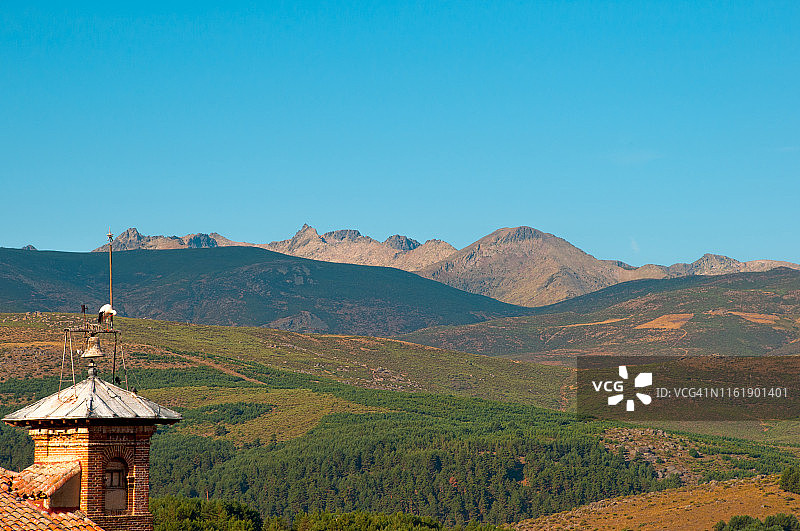 钟楼上的鹳图片素材