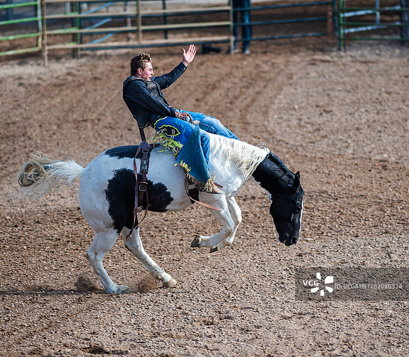 烈马牛仔竞技赛事图片素材