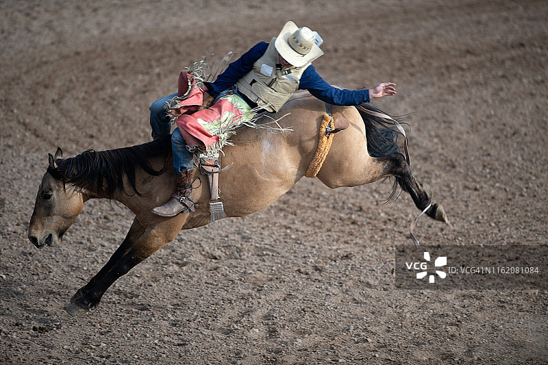 烈马牛仔竞技赛事图片素材
