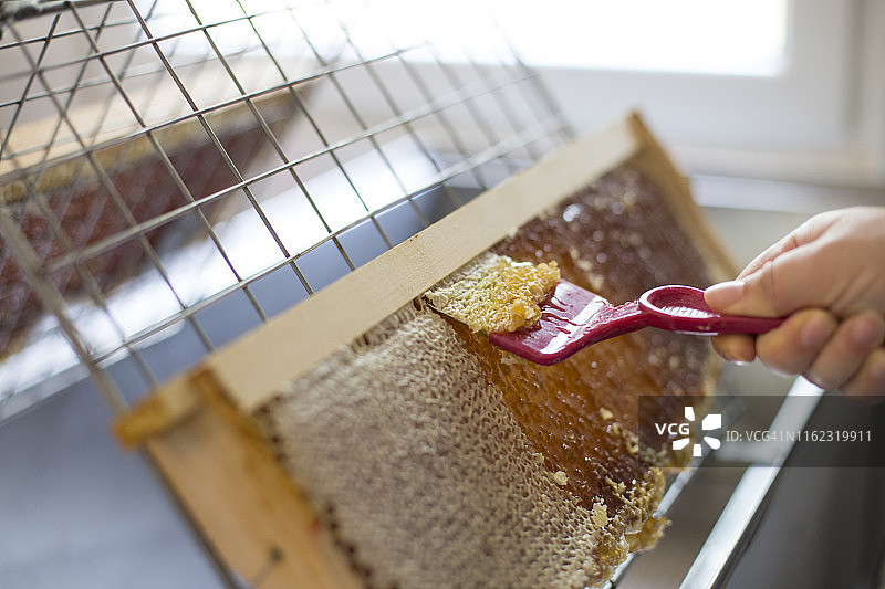 移除蜂巢上的封盖图片素材