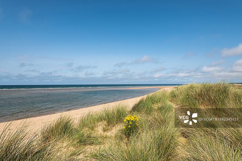 诺福克海岸线的沙丘图片素材