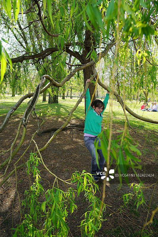 在英国伦敦格林威治公园里，挂在树上的小女孩图片素材