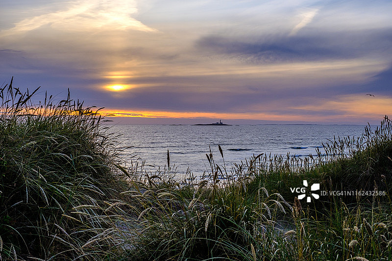 挪威罗加兰郡耶伦景观：沙丘、草地和麦秆，背景是海洋、日落天空和灯塔图片素材
