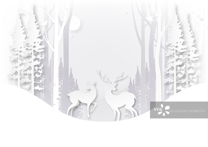 冬季森林中的野生鹿和圣诞节概念图片素材