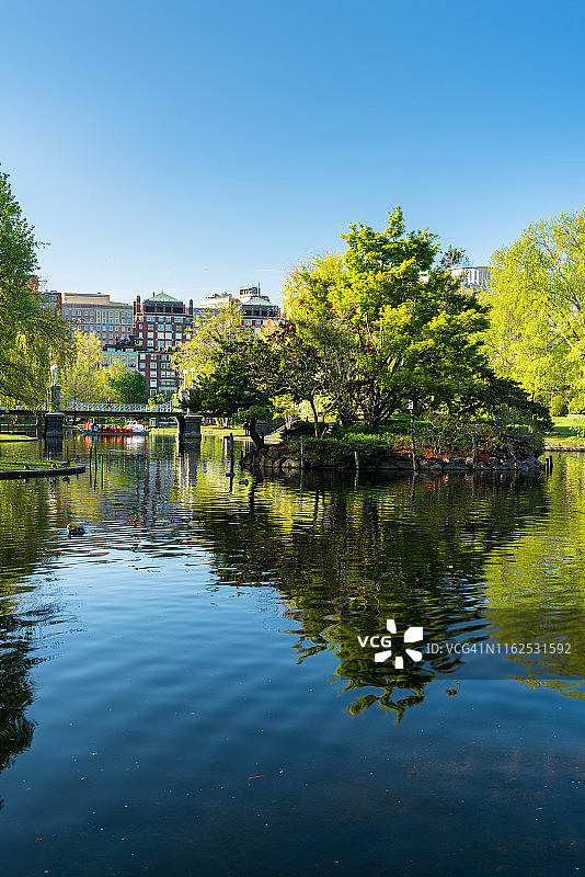 马萨诸塞州波士顿公共花园（白天）图片素材