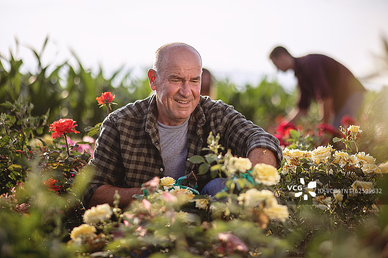 快乐的老年男人在他最喜欢的地方图片素材