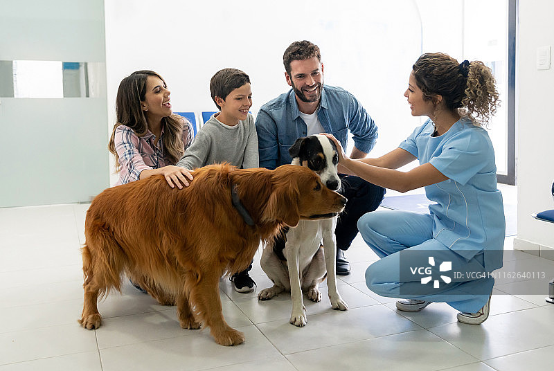 拉丁家庭带狗去看兽医图片素材