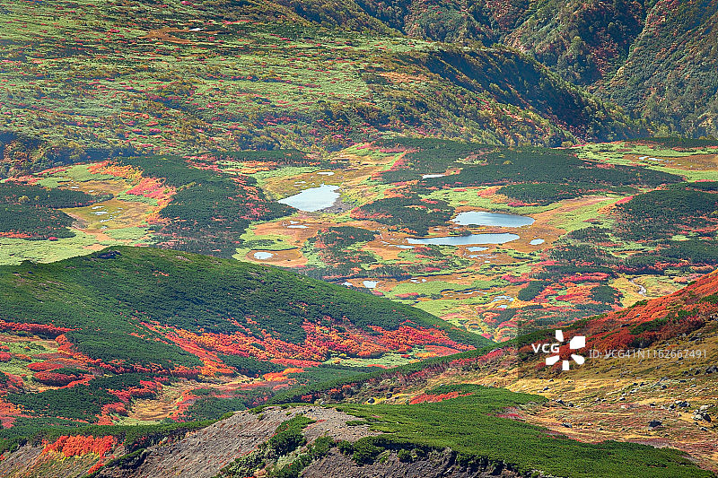 荒野中的花园景色图片素材