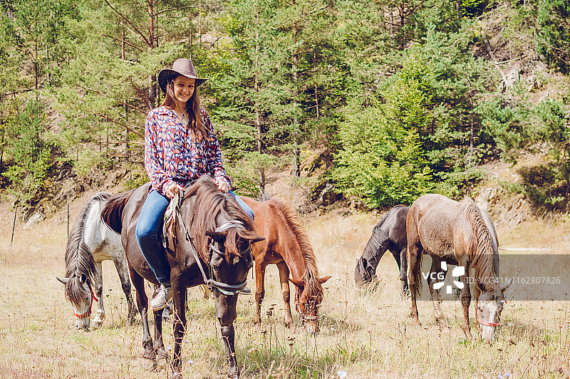 马群之中图片素材