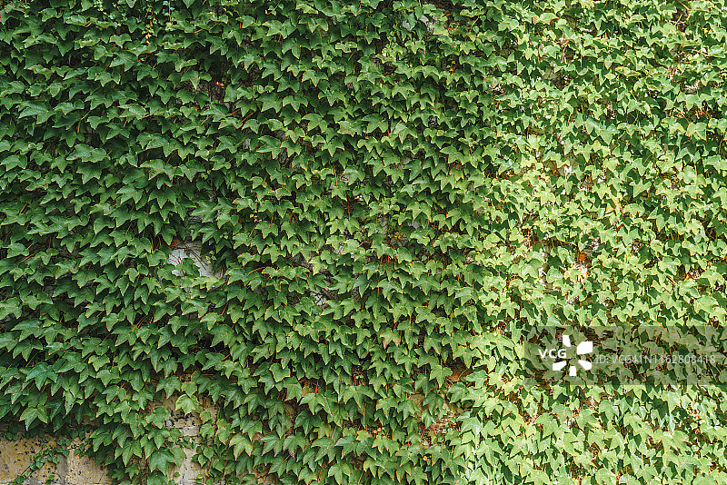 阳光下的墙图片素材