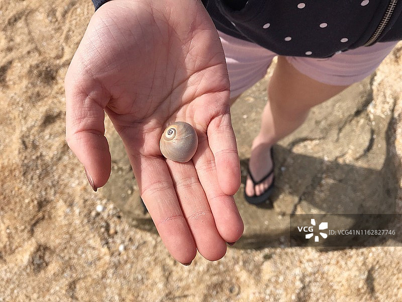 女孩手持玉螺贝壳的第一人称视角图片素材