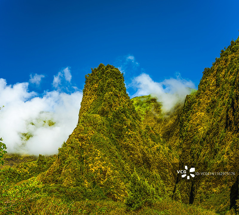 伊奥山谷针图片素材