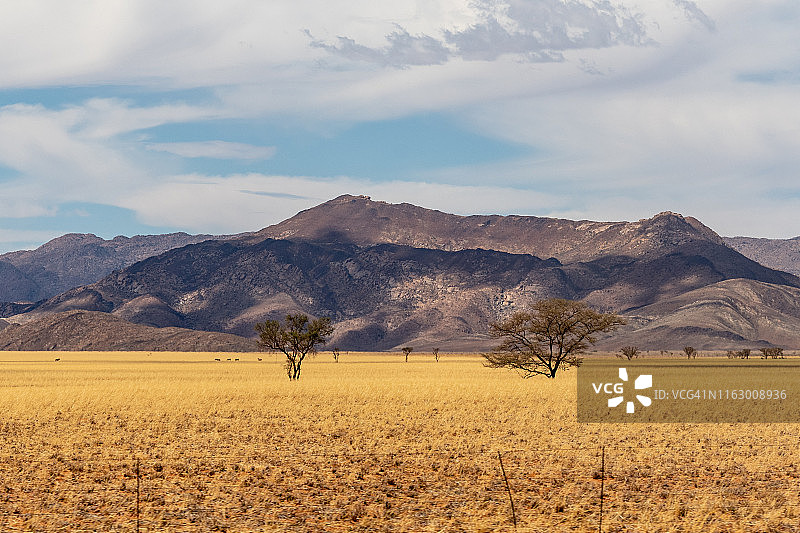 纳米比亚沙漠和沙丘景观图片素材