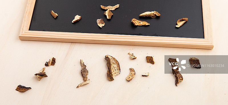 波尔奇尼蘑菇图片素材