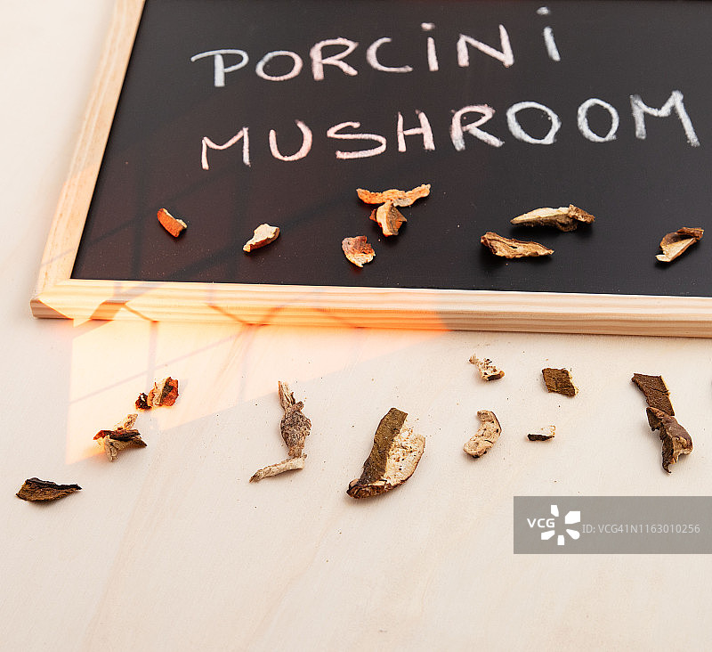 波尔奇尼蘑菇图片素材