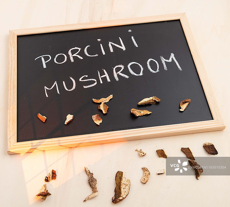 波尔奇尼蘑菇图片素材