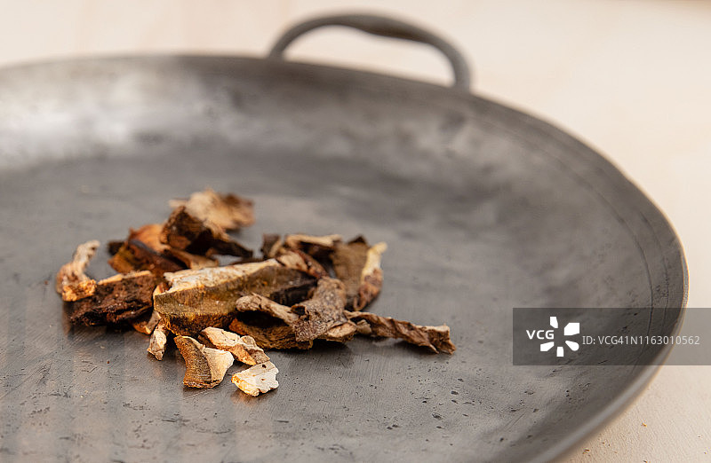 波尔奇尼蘑菇图片素材