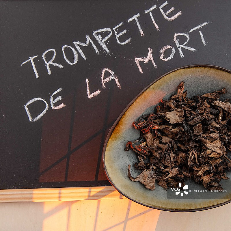 黑喇叭菇图片素材