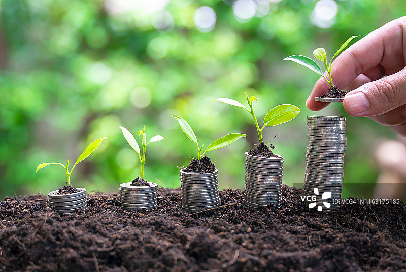 堆叠硬币上的小植物，以及储蓄和增加商业利润的想法图片素材